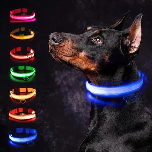 Hundehalsband LED blinkend USB Batterie TRENDMOPS LUMIAGUARD