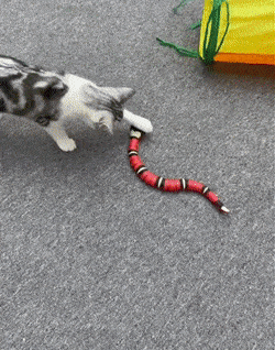 INTELLYSNAKE - Aktives Katzenspielzeug - trainiert Reaktion & Jagdinstinkt
