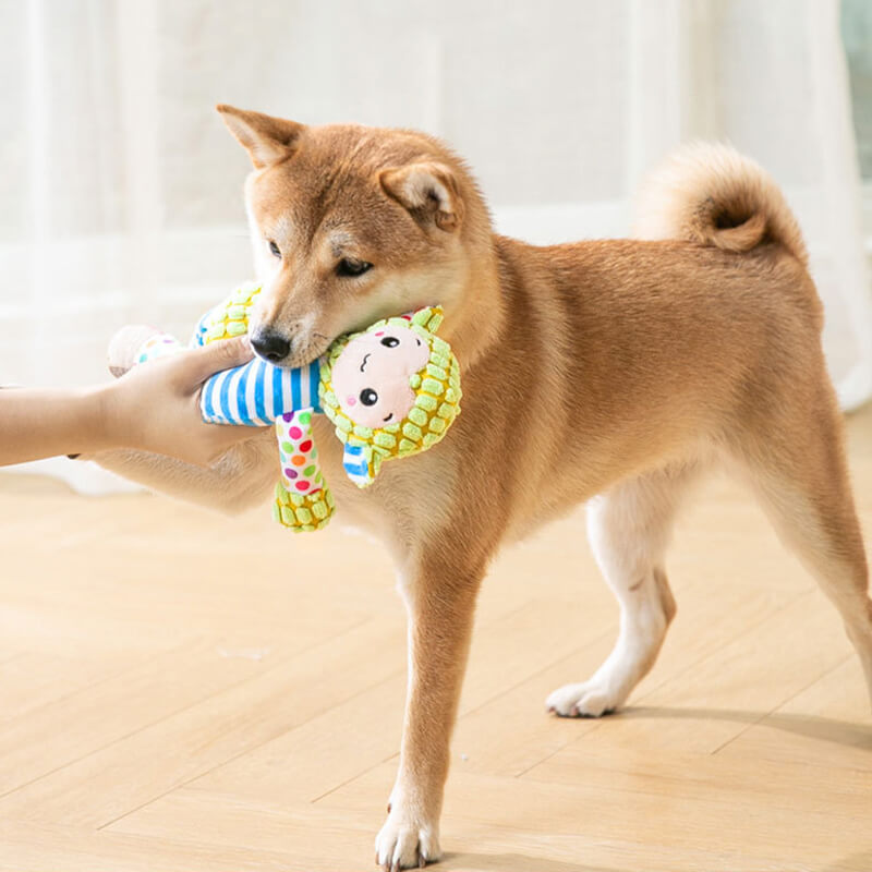TRENDMOPS DOGSQUEEZER - Quietschendes Hundespielzeug, 100% Spielspaß