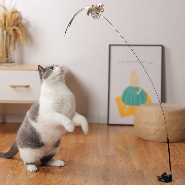 TRENDMOPS KITTYCATJOY - Katzenspielzeug mit Saugnapf für die Selbstbeschäftigung Ihrer Katze – fördert Spielspaß und Bewegung!