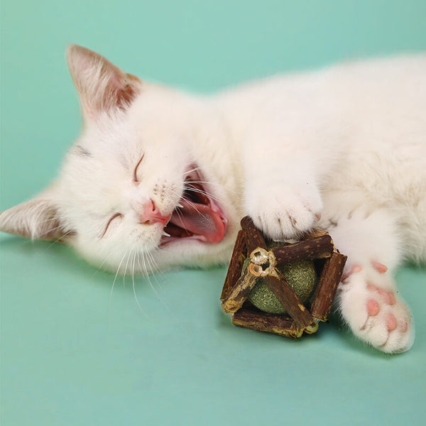 TRENDMOPS KITTYCATMINT - Katzenspielzeug mit Katzenminze: Holzspielzeug für entspannte Momente