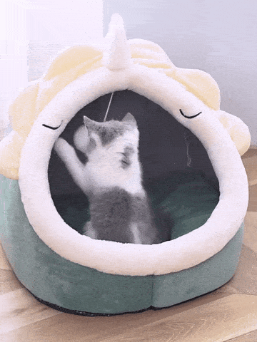 CUDDLECAT - kuschelige Katzenhöhle mit Spielball, schenke Wohlfühlmomente